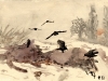 Crows on rubbish dump, winter 1951/52